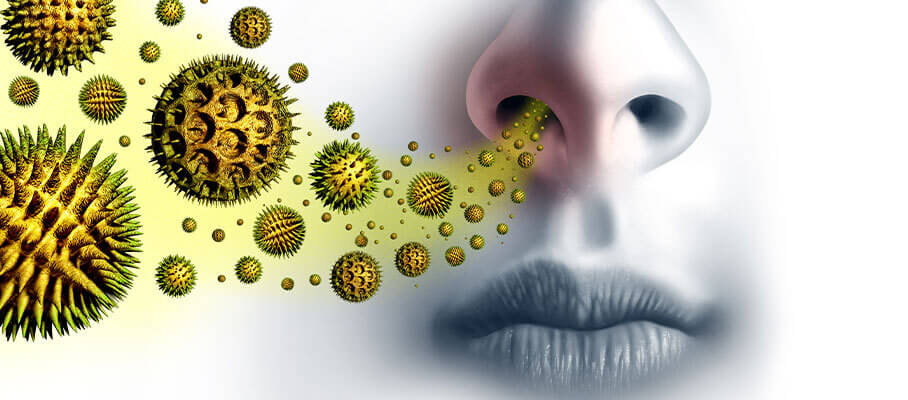 seasonal-allergies-Metropolis-blog-allergy-panel-test.jpg